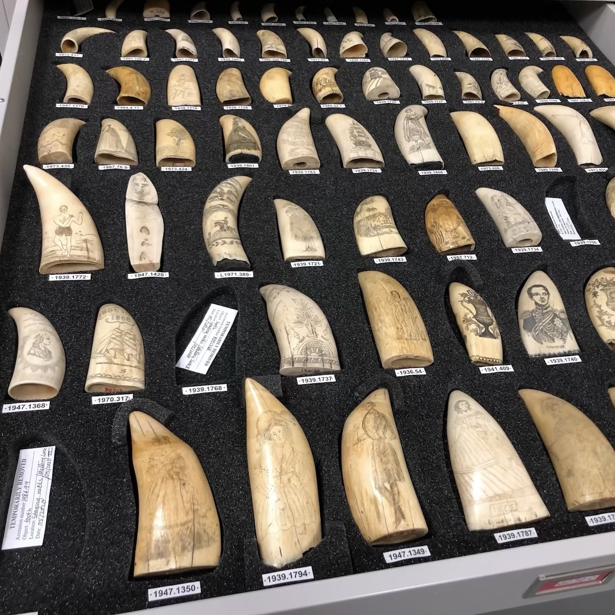 An assortment of scrimshaw pieces at Mystic Seaport